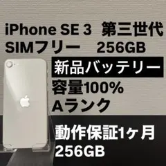 極美品 256GB Apple iPhone SE3 第三世代 日本版 se3