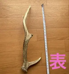 最終価格 北海道 エゾシカ鹿の角 約75センチ - メルカリ