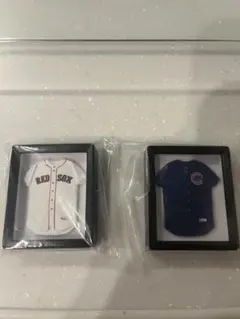 Item thumbnail for item 43102161-6811-4fc1-8abe-7abed0adae31