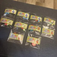 【バラ可】チョコエッグ ポケモン 旅立ちの３匹 一種