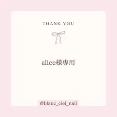 alice様専用ページ　ネイルパーツ