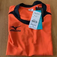 Item thumbnail for item 33f49880-171b-4437-a4d2-96971017e5a5