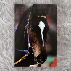 サラブレッドコレクション ポストカード ハーツクライ