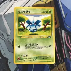 クヌギダマ　ポケモンカード　旧裏のサムネイル