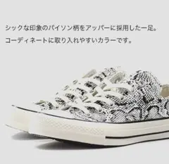 コンバース オールスター スネーク ホワイト　100周年　23.5cm