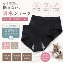 吸水ショーツ 2枚セット Lサイズ 生理 災害 抗菌　サニタリー