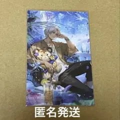 Alecs様 リクエスト 3点 まとめ商品