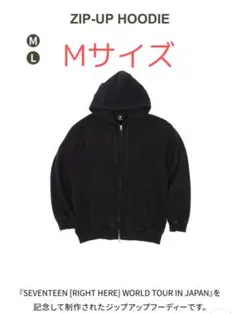 2025年最新】SEVENTEEN right here japan パーカーの人気