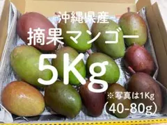 摘果マンゴー6.5キロ - メルカリ