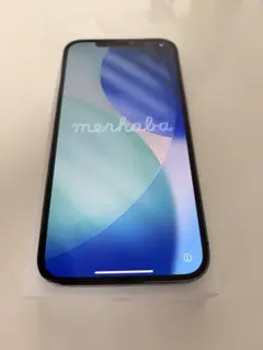 Apple iPhone 12 Pro MAX グラファイト