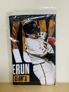 甲斐拓也 応援タオル 記念グッズ