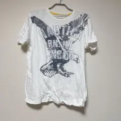 Item thumbnail for item 0112fe8e-6908-45d1-ac59-9b4fd82f9eca