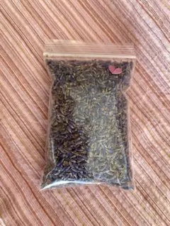 Item thumbnail for item ed8fed9f-2e62-458f-b94a-431c3650ee43