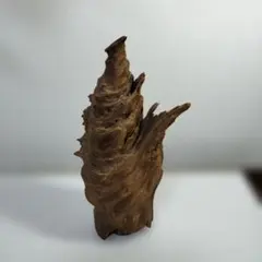 流木　オブジェ