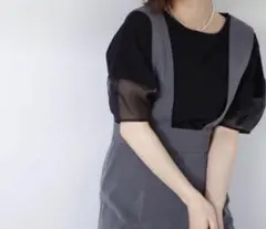 NATURAL BEAUTY BASIC シアー切替スリーブプルオーバーのサムネイル