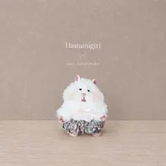 2043. はむにぎり ぬい服 ෆ̈ レース つけ襟 & かぼちゃパンツ - メルカリ