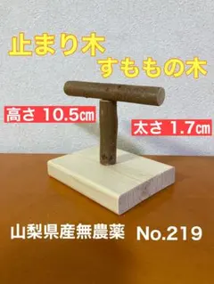 Item thumbnail for item 333a0a93-fd2e-4d1d-81bc-d13c1107dec4