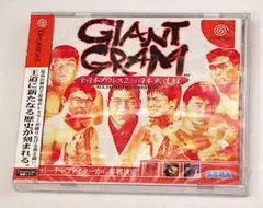 ドリームキャスト 新品　送料無料　ジャイアントグラム　全日本プロレス2