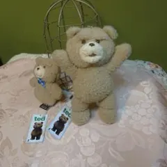 2026年最新】テッド ぬいぐるみの人気アイテム - メルカリ