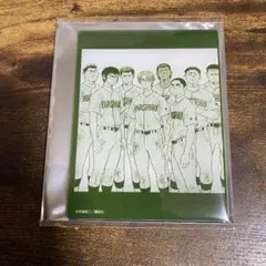 2026年最新】ダイヤのa 稲実の人気アイテム - メルカリ