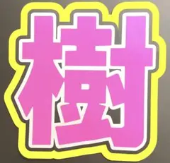 目立つ★SixTONES★ 田中樹 じゅり　うちわ文字