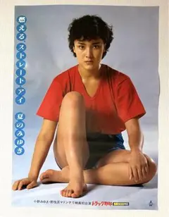 約50年前のトラック野郎の木製ポスターパネル ボード 2枚セット 2026年最新】トラック野郎ポスターの人気アイテム - メルカリ