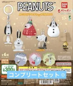 PEANUTS めじるしアクセサリー FUNNY ver. コンプリート⁑未開封