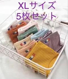 XL サイズ新色レディース ショーツ コットンショーツ下着5枚セットのサムネイル