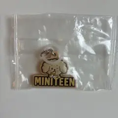 【新品未使用】MINITEEN ミニティーン ドギョム ガチャ めじるし ドア