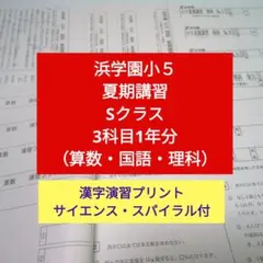 2026年最新】浜学園 復習テスト 小5の人気アイテム - メルカリ