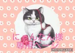 にゃんたん様専用ページ