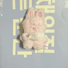 Stray Kids マイクロ トゥエッキ