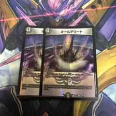 オールデリート 2枚セット