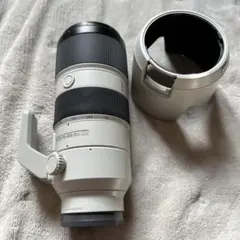 Item thumbnail for item 824a89dc-9ff4-4f1c-9e35-9cfbfc9eda8a