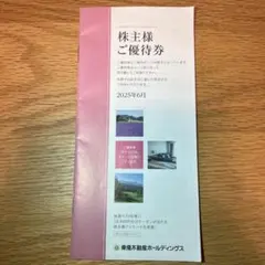 東急不動産ホールディングス　株主優待券　100〜500株【一部】