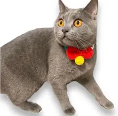 猫首輪子犬首輪付き蝶ネクタイとベル調整可能