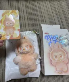 Item thumbnail for item 5c89f9e8-09d0-438c-ae0d-ee321a487de9