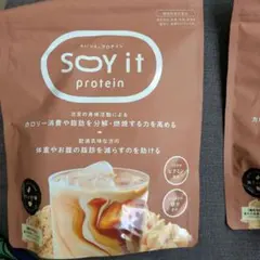 LAVA プロテイン味噌汁 Rintosull SOY PROTEIN Miso - メルカリ