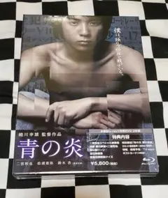 2026年最新】青の炎 二宮和也コレクターズエディション [DVD]の人気