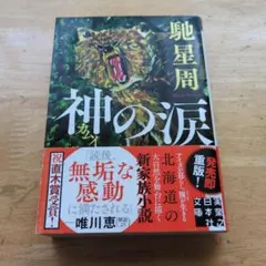 神の涙 馳星周