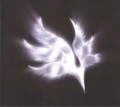 BUMP OF CHICKEN orbital period