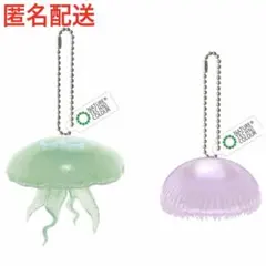 クラゲ カプセルトイ