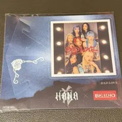 HANA ビックエコー コースター - メルカリ