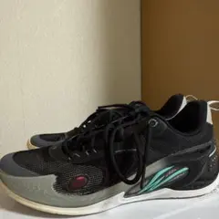 wade 808