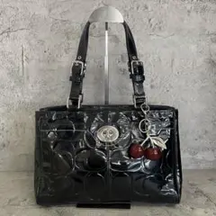 COACH Y2K Zipper Signature Tote Bag BK - メルカリ