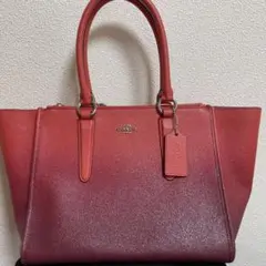 coach ハンドバッグ　レッド　秋