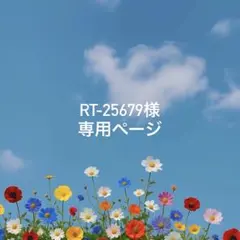 RT-25679様専用ページ