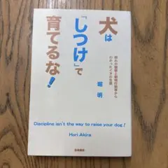 Item thumbnail for item c05201b5-e5f6-4651-8f3d-cad61bc2b239