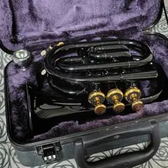 2025年最新】中古品 jマイケル ポケットトランペットの人気