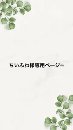 ちいふわ様専用ページ✳︎ 仲良しインコ丸ヘアクリップ